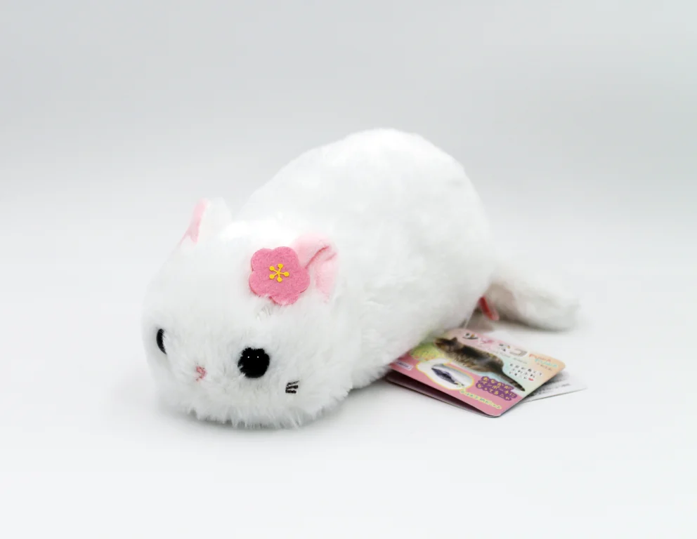 Tsuchineko - Federm&auml;ppchen - T&uuml;rkisch Angora