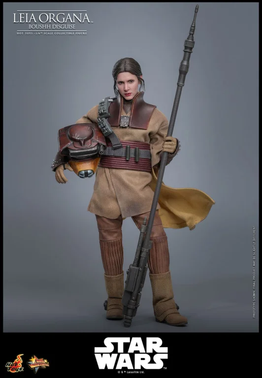 Star Wars - Scale Action Figure - Leia Organa (Boushh Disguise)