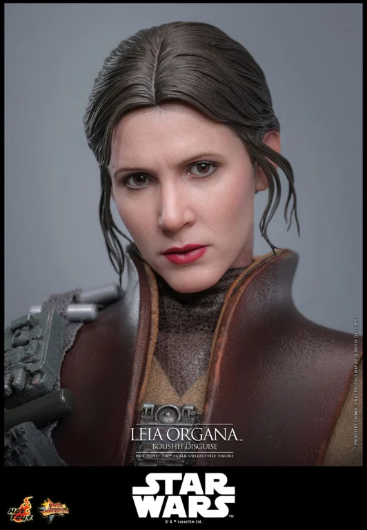 Star Wars - Scale Action Figure - Leia Organa (Boushh Disguise)