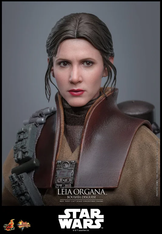 Star Wars - Scale Action Figure - Leia Organa (Boushh Disguise)