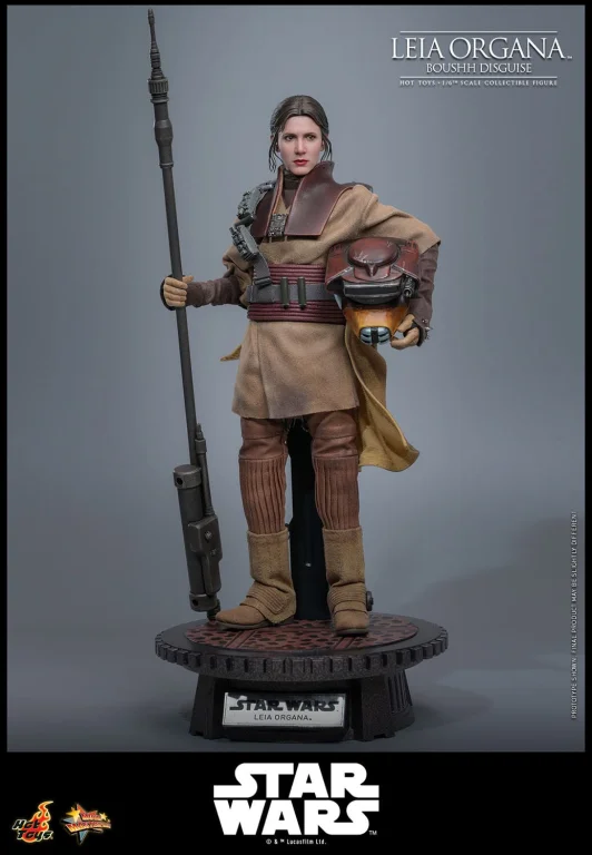 Star Wars - Scale Action Figure - Leia Organa (Boushh Disguise)