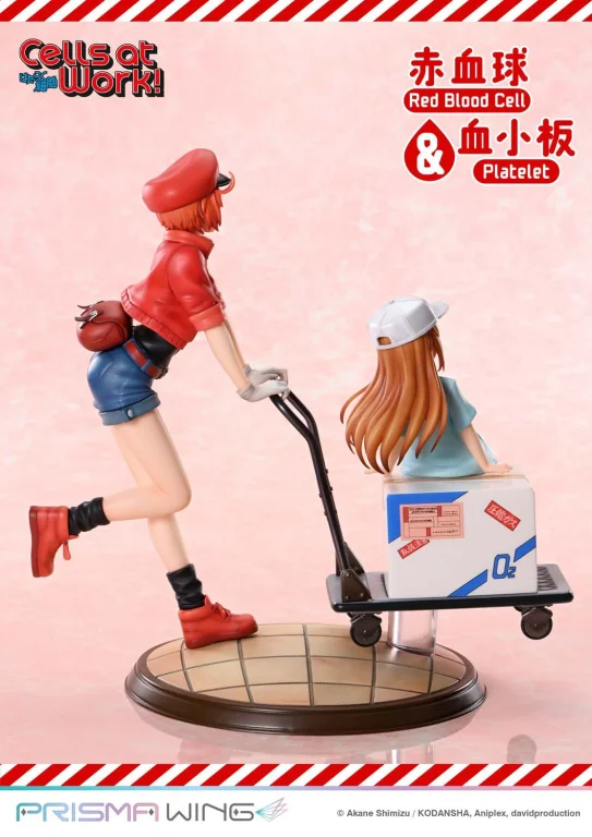 Cells at Work! - PRISMA WING - Red Blood Cell & Platelet
