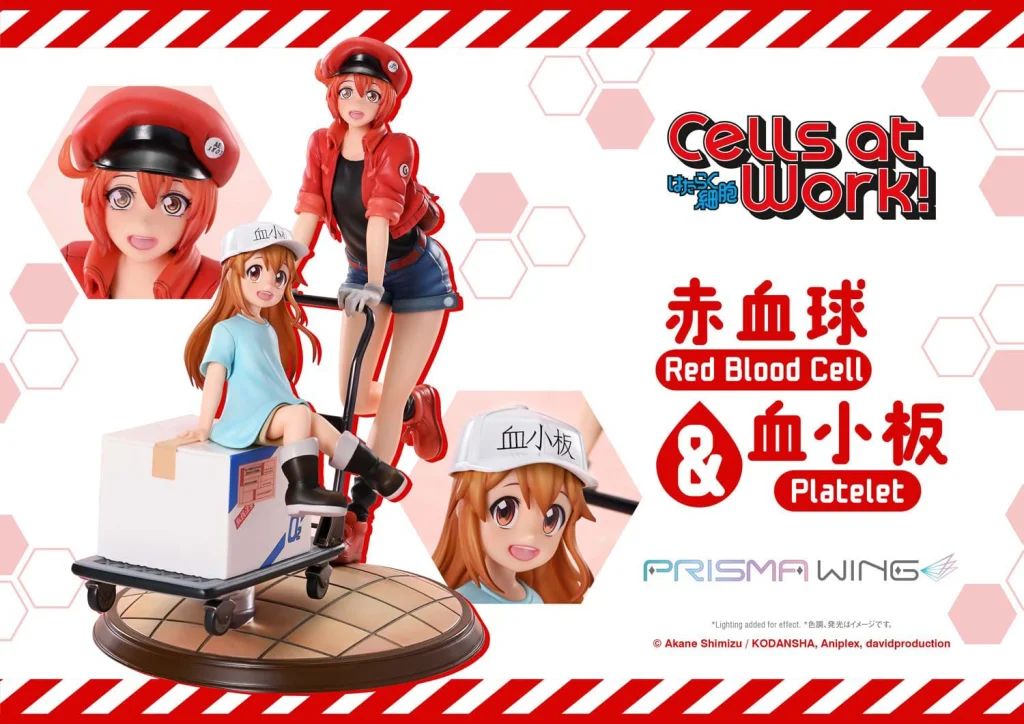 Cells at Work! - PRISMA WING - Red Blood Cell & Platelet