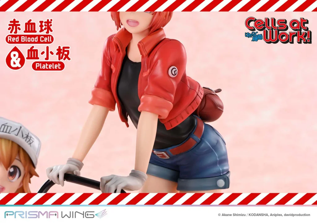 Cells at Work! - PRISMA WING - Red Blood Cell & Platelet