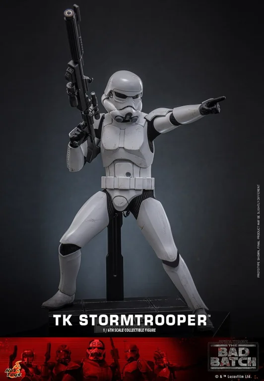 Star Wars - Scale Action Figure - TK Stormtrooper