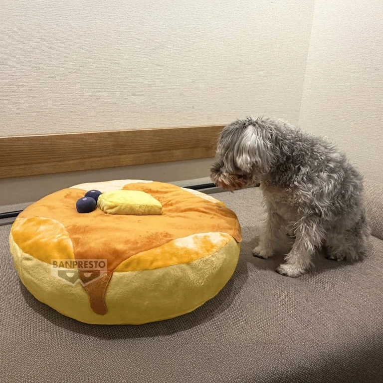 Food Series - Pl&uuml;sch - Pancake