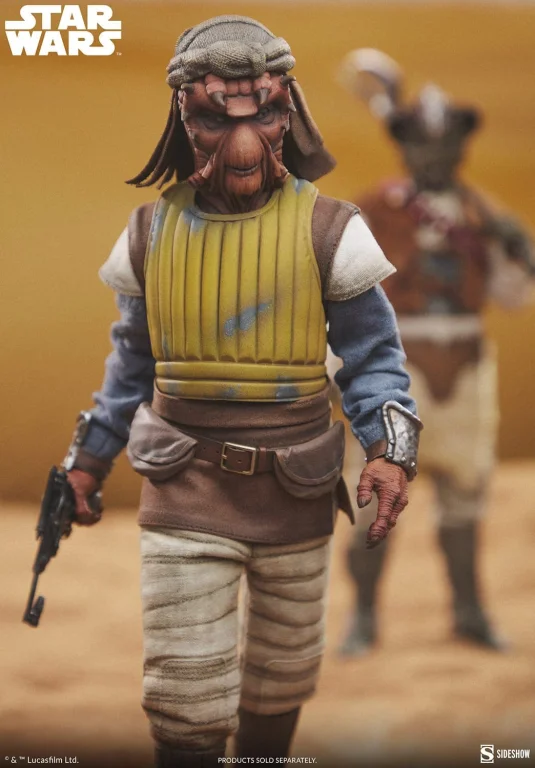 Star Wars - Scale Action Figure - Vizam