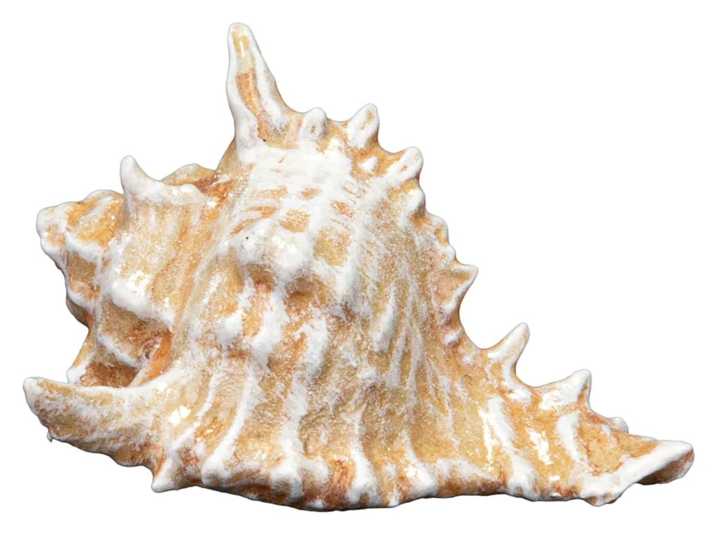 Mass Effect - Non-Scale Figure - Mordin Solus