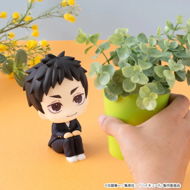 Haikyū!! - Look Up Series - Daichi Sawamura