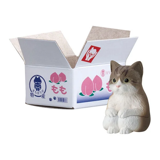 Machiboke Neko - Gashapon - Blind Bag