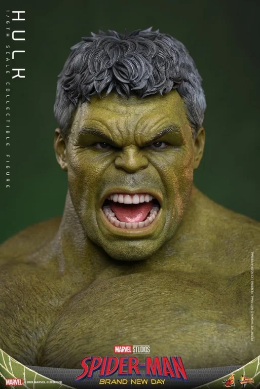 Spider-Man - Scale Action Figure - Hulk