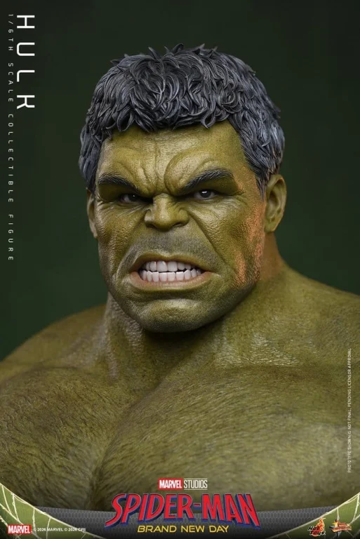 Spider-Man - Scale Action Figure - Hulk