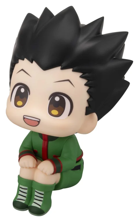 Hunter &times; Hunter - Look Up Series - Gon Freecss