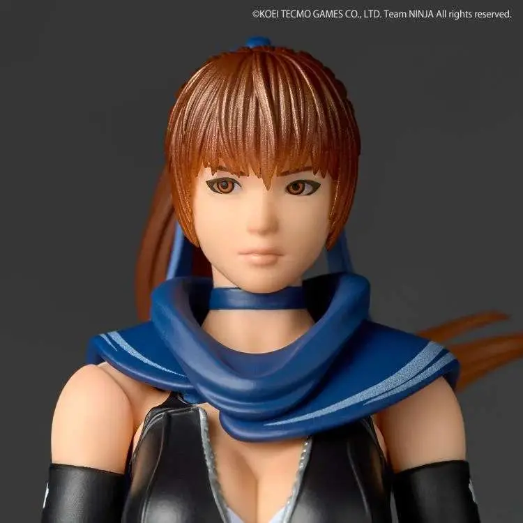 Ninja Gaiden - Revoltech - Amazing Yamaguchi - Kasumi