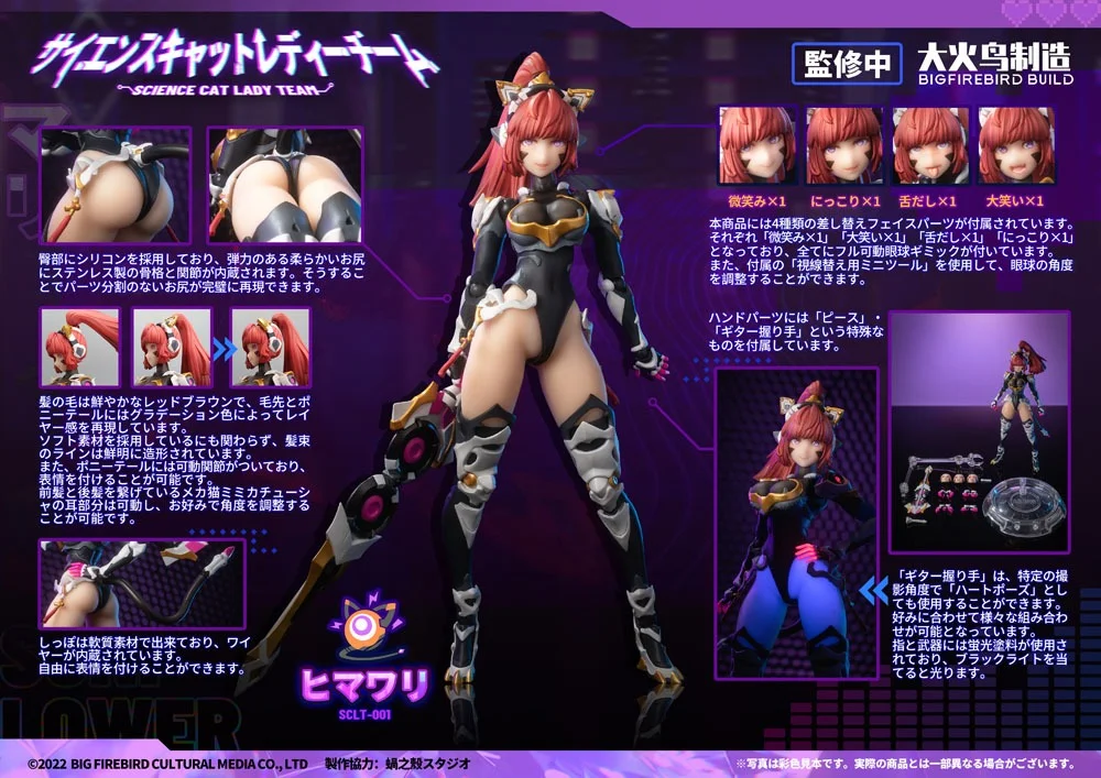 Science Cat Lady Team - Non-Scale Action Figure - Himawari