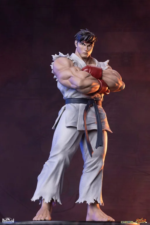 Street Fighter - Scale Figure - Ryu & Dan