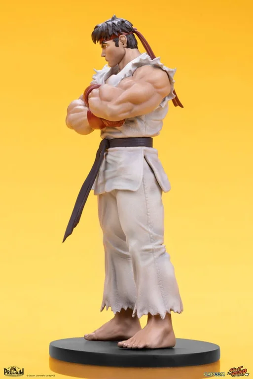 Street Fighter - Scale Figure - Ryu & Dan