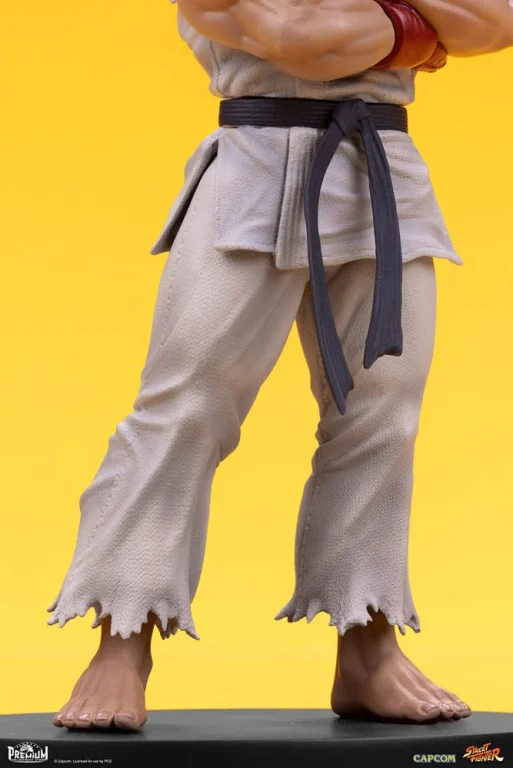 Street Fighter - Scale Figure - Ryu & Dan