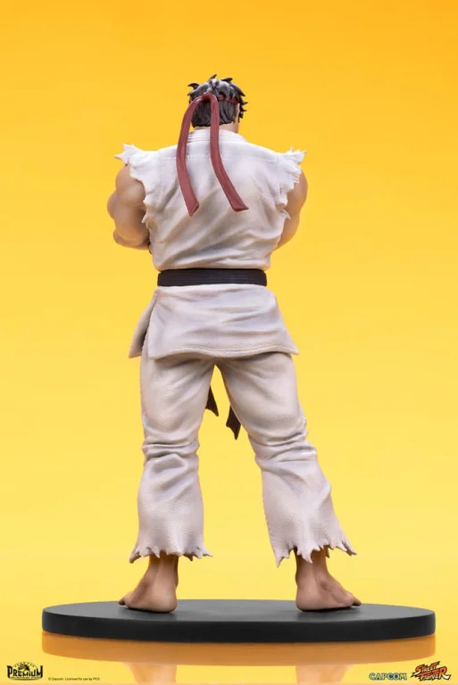 Street Fighter - Scale Figure - Ryu & Dan
