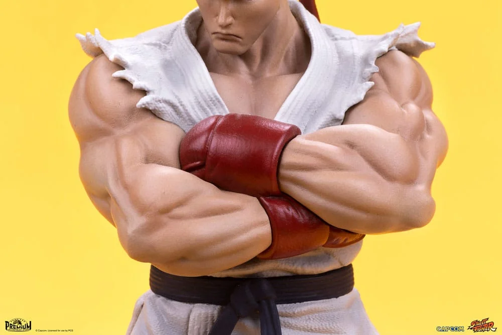 Street Fighter - Scale Figure - Ryu & Dan