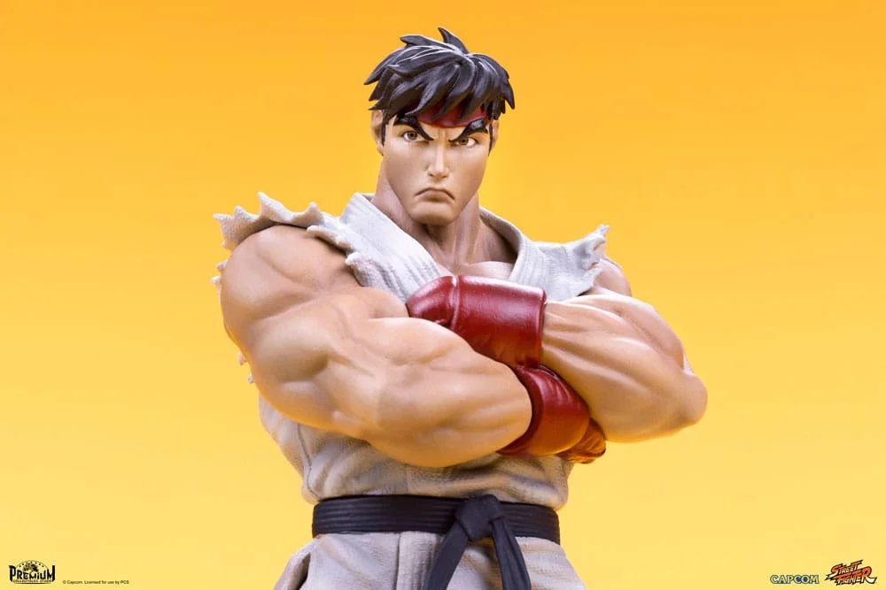 Street Fighter - Scale Figure - Ryu & Dan