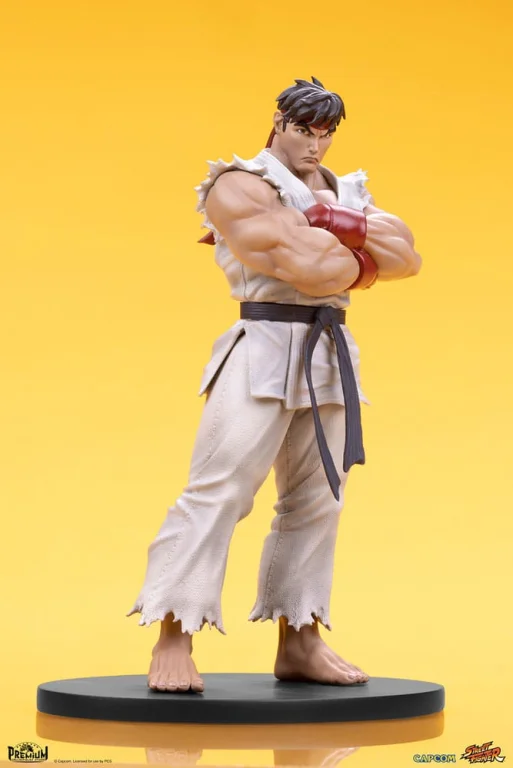 Street Fighter - Scale Figure - Ryu & Dan