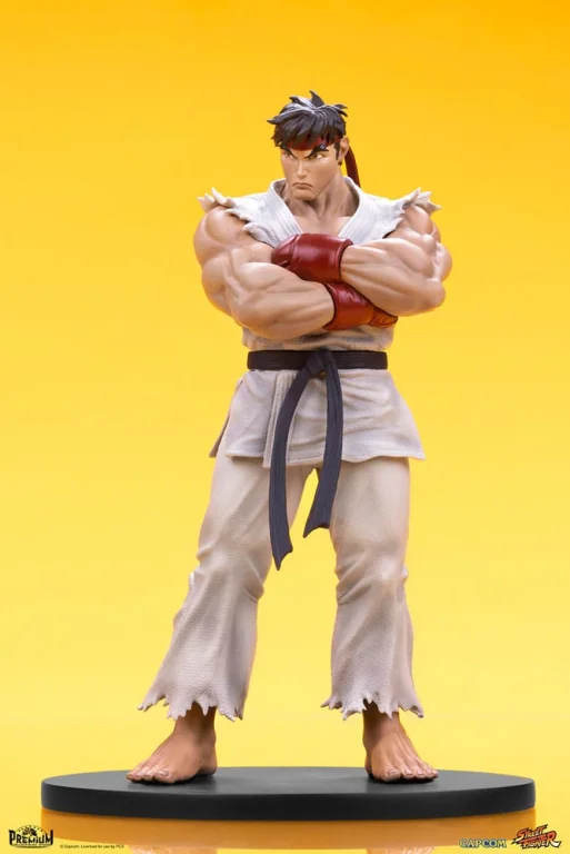 Street Fighter - Scale Figure - Ryu & Dan
