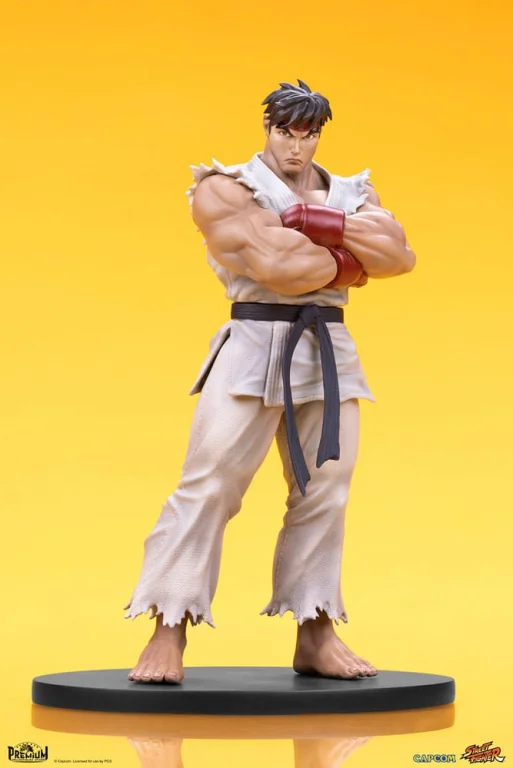 Street Fighter - Scale Figure - Ryu & Dan