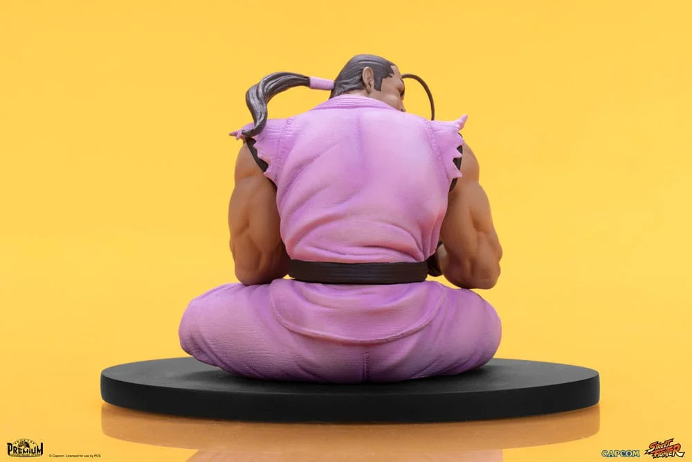 Street Fighter - Scale Figure - Ryu & Dan