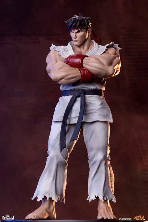 Street Fighter - Scale Figure - Ryu & Dan