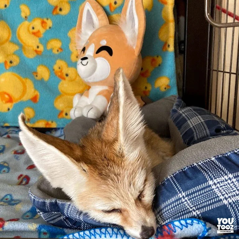 Youtooz - Pl&uuml;sch - Fennec Fox