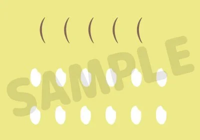 Haikyū!! - Nendoroid - Keiji Akaashi