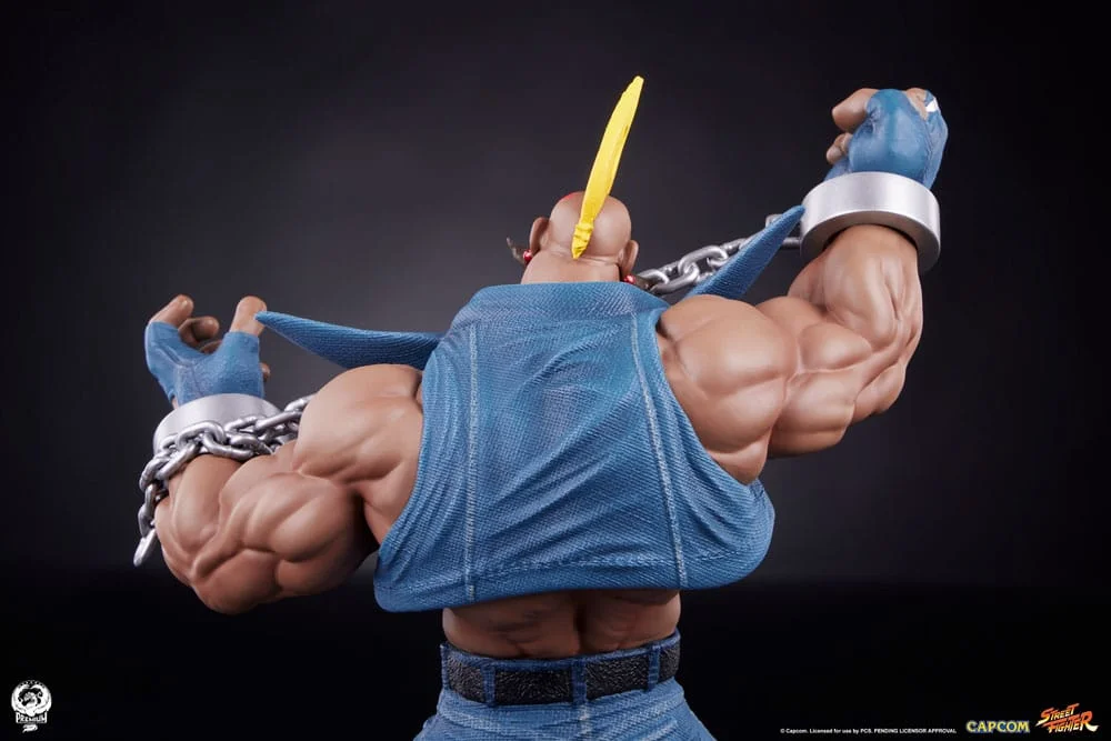Street Fighter - Scale Figure - Cammy & Birdie