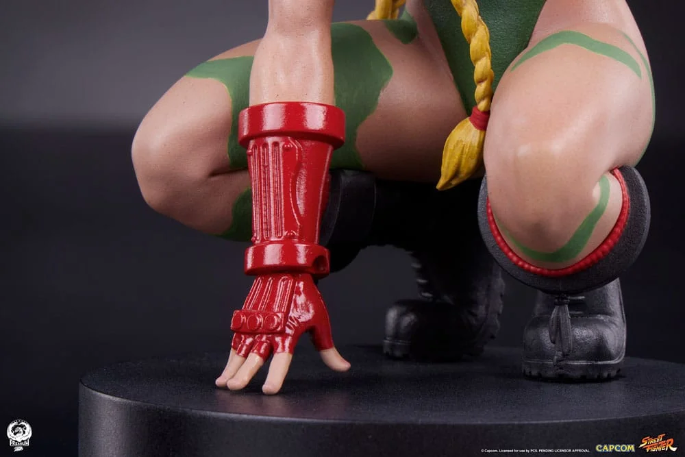 Street Fighter - Scale Figure - Cammy & Birdie