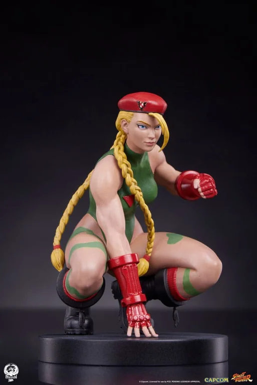 Street Fighter - Scale Figure - Cammy & Birdie
