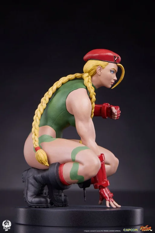 Street Fighter - Scale Figure - Cammy & Birdie