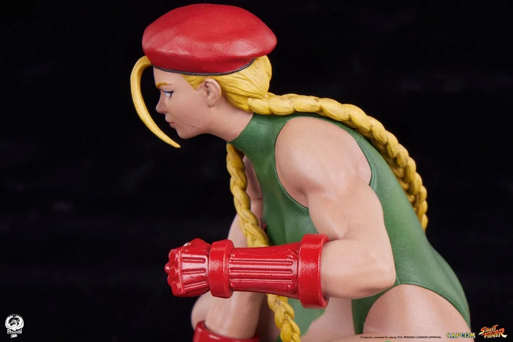Street Fighter - Scale Figure - Cammy & Birdie