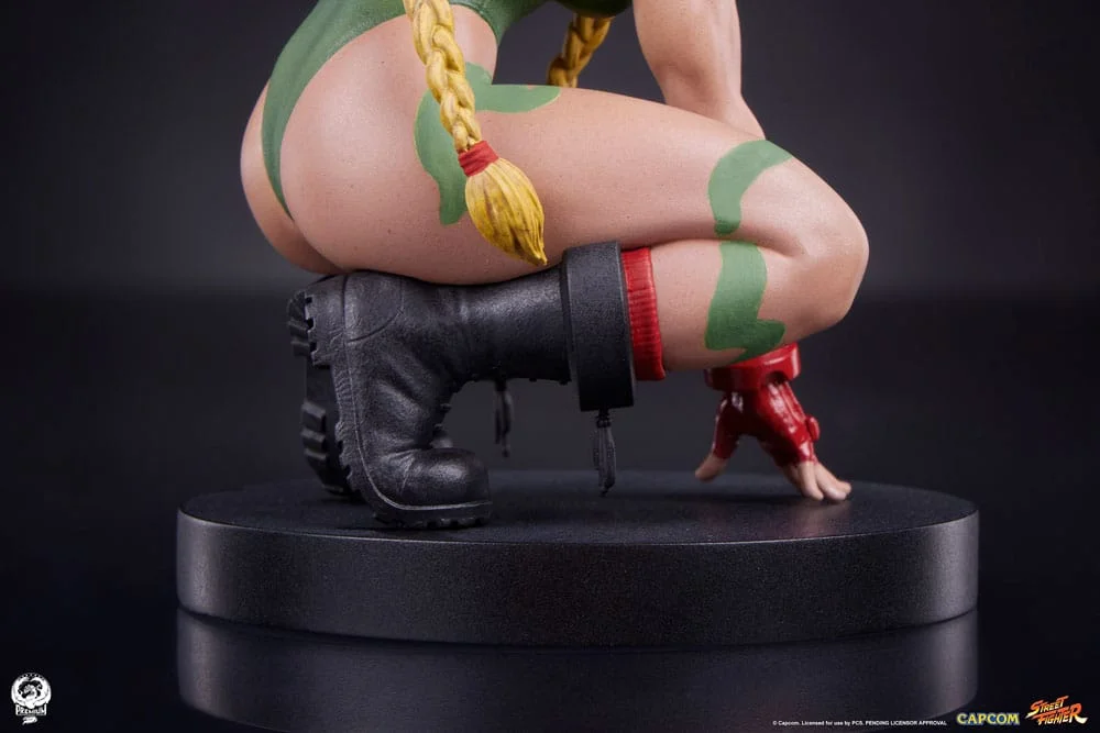 Street Fighter - Scale Figure - Cammy & Birdie