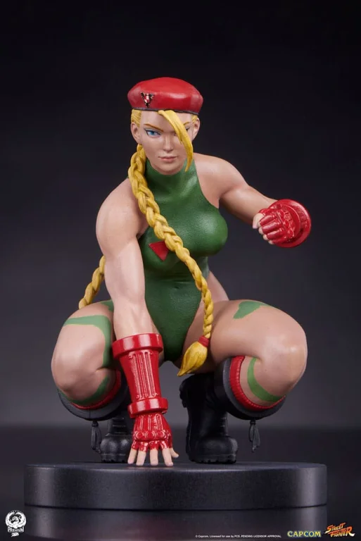 Street Fighter - Scale Figure - Cammy & Birdie
