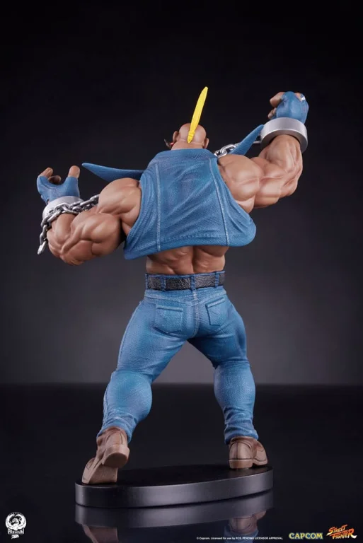 Street Fighter - Scale Figure - Cammy & Birdie