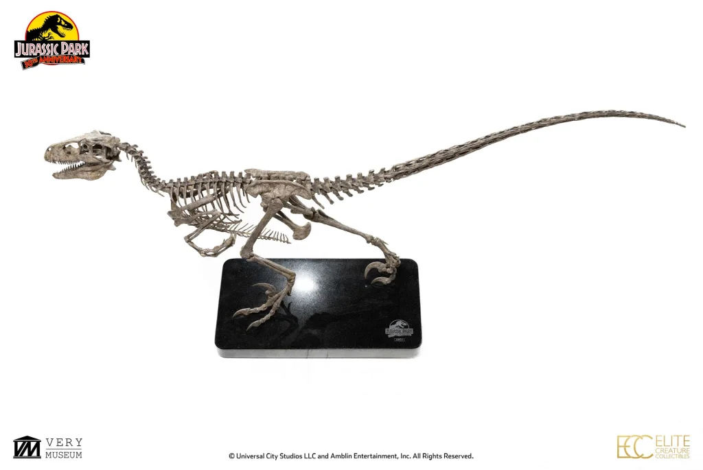 Jurassic Park - Elite Creature Collectibles - Raptor Skeleton Bronze