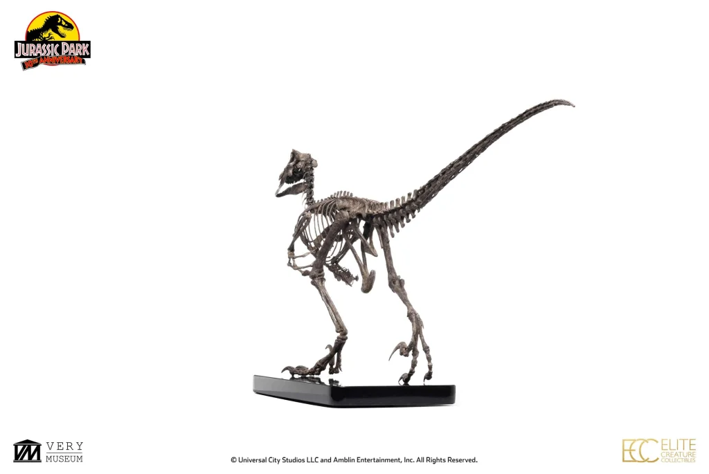 Jurassic Park - Elite Creature Collectibles - Raptor Skeleton Bronze