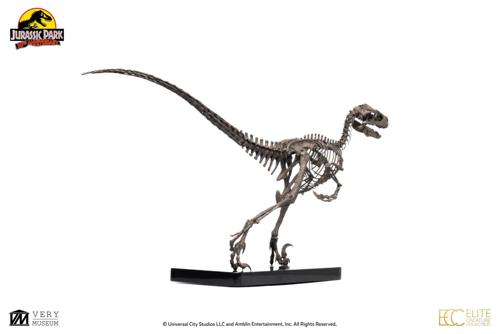 Jurassic Park - Elite Creature Collectibles - Raptor Skeleton Bronze