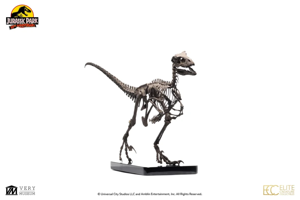 Jurassic Park - Elite Creature Collectibles - Raptor Skeleton Bronze