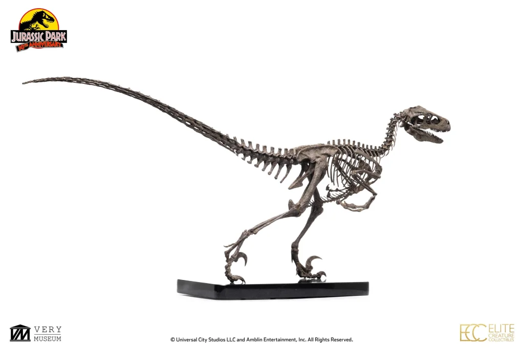 Jurassic Park - Elite Creature Collectibles - Raptor Skeleton Bronze