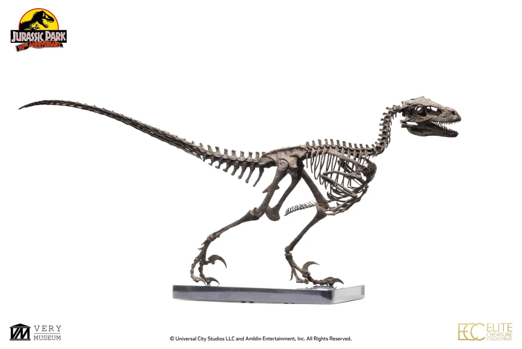 Jurassic Park - Elite Creature Collectibles - Raptor Skeleton Bronze